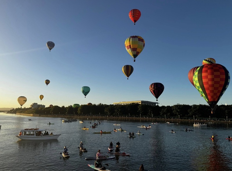 Cygnet Balloons 14.3